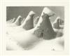 GRANT WOOD January.